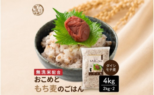雑穀米本舗 国産 おこめともち麦のごはん 4kg(2kg×2袋)【洗わず炊ける】
