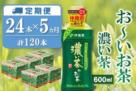 【5か月定期便】おーいお茶濃い茶 600ml×24本(合計5ケース)【伊藤園 お茶 緑茶 濃い 渋み まとめ買い 箱買い ケース買い カテキン 2倍 体脂 肪】D5-F071373