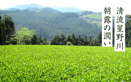 奥八女星野村 八女茶 深蒸し高級煎茶 (深蒸し茶) 100g×2袋 吉富町/株式会社ベネフィス[BGAF013]
