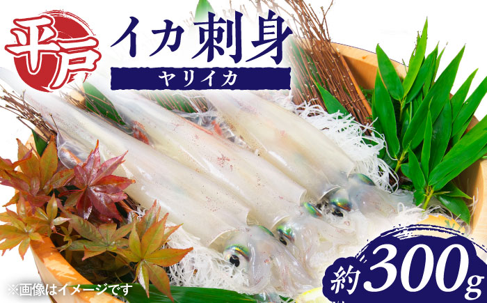 平戸のヤリイカ刺身 約300g【百旬館】[KAK023]