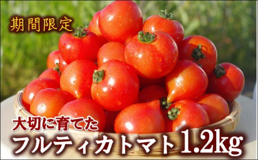 
            期間限定　大切に育てたフルティカトマト1.2kg( トマト とまと ジューシー リコピン 期間限定 松浦市 松浦産 フルティカトマト )【A9-013】
          