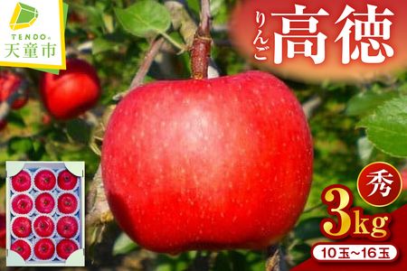 りんご 高徳 3kg 山形 果物 フルーツ リンゴ