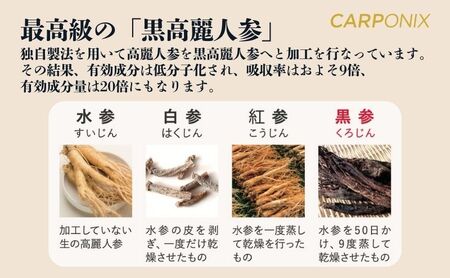 黒高麗人参「CARPONIX」60粒入り×1袋 【定期便 12ヶ月】 サプリメント サプリ 黒高麗人参 カプセル ジンセノサイド 千葉市