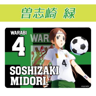 ふるさと納税 蕨市 蕨オリジナルグッズ【さよなら私のクラマー】ブランケット　曽志崎緑