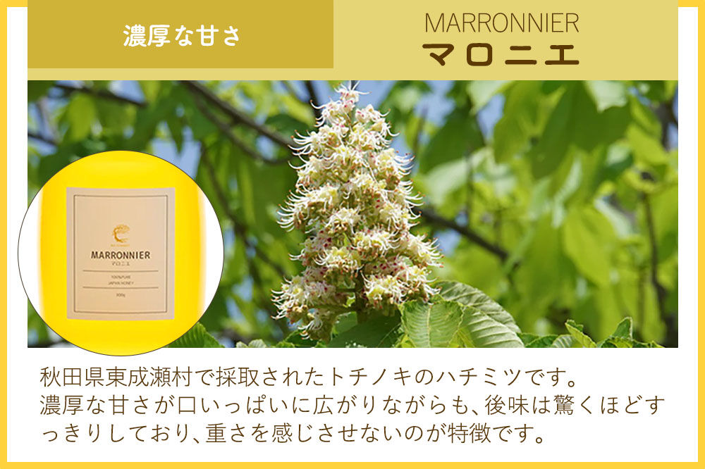 MARRONNIER マロニエ 300g×1個（ガラスびん） [BEE CONNECT はちみつ ハチミツ 蜂蜜 ガラス瓶 瓶 マロニエ 栃 トチ 秋田県産]