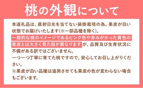 【令和6年度出荷 先行予約】岡山の桃 合計2.6kg 《2024年6月下旬-9月上旬頃出荷》 桃 白桃 桃 岡山 矢掛 桃 桃 ---ofn_cwom_l69_24_19500_2---