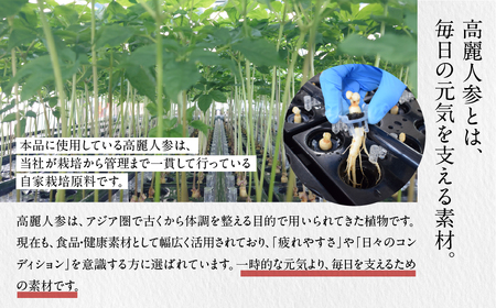 高麗人参1000 10本 定期便｜高麗人参