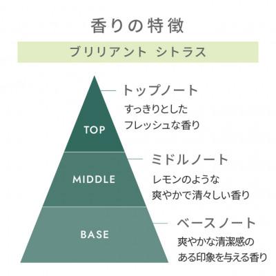 ふるさと納税 南大隅町 植物の楽園で誕生!天然由来成分100%の“香る”ハーバルバーム ブリリアントシトラス |  | 01