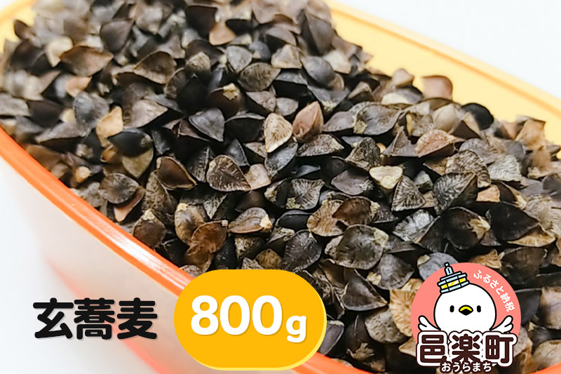 
玄蕎麦 800g×1袋 サイトウ・コーポレーション 飼料
