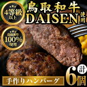 【ふるさと納税】鳥取和牛DAISENハンバーグ(計6個)国産 鳥取県産 大山 手作り 牛肉 和牛 お肉 肉 惣菜 お取り寄せ ギフト プレゼント 誕生日プレゼント お祝い 贈答品【sm-AO001】【大幸】