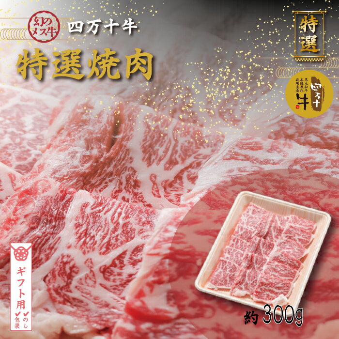 【ギフト用（包装・のし対応）】【ふるさと納税】26-976G．幻のメス牛 四万十牛特選焼肉（約300g)高知 しまんと 四万十 四万十牛 牧場直売 肉 牛肉 黒毛和牛 ご褒美 焼肉 リブロース 肩ロース バーベキュー BBQ 包装 のし サマーギフト お中元 残暑見舞い 暑中見舞い