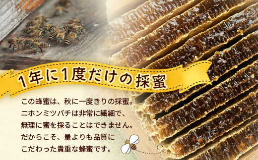 【数量限定】【先行予約・2025年8月発送】日本ミツバチのはちみつ　580g