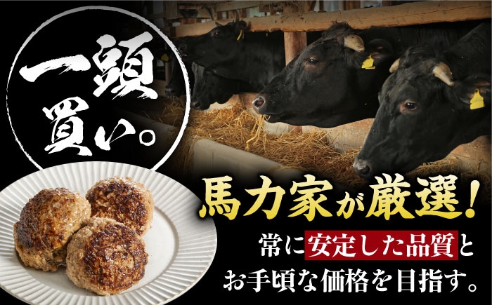 ハンバーグ 冷凍  温めるだけ 小分け 簡単調理 離乳食 湯煎肉 牛肉 ハンバーグ おすすめ 飛騨牛 冷凍 ハンバーグ 湯煎