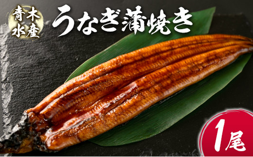 
青木水産のうなぎ蒲焼き 1尾（150～180g） 有頭 宮崎県産【B632】
