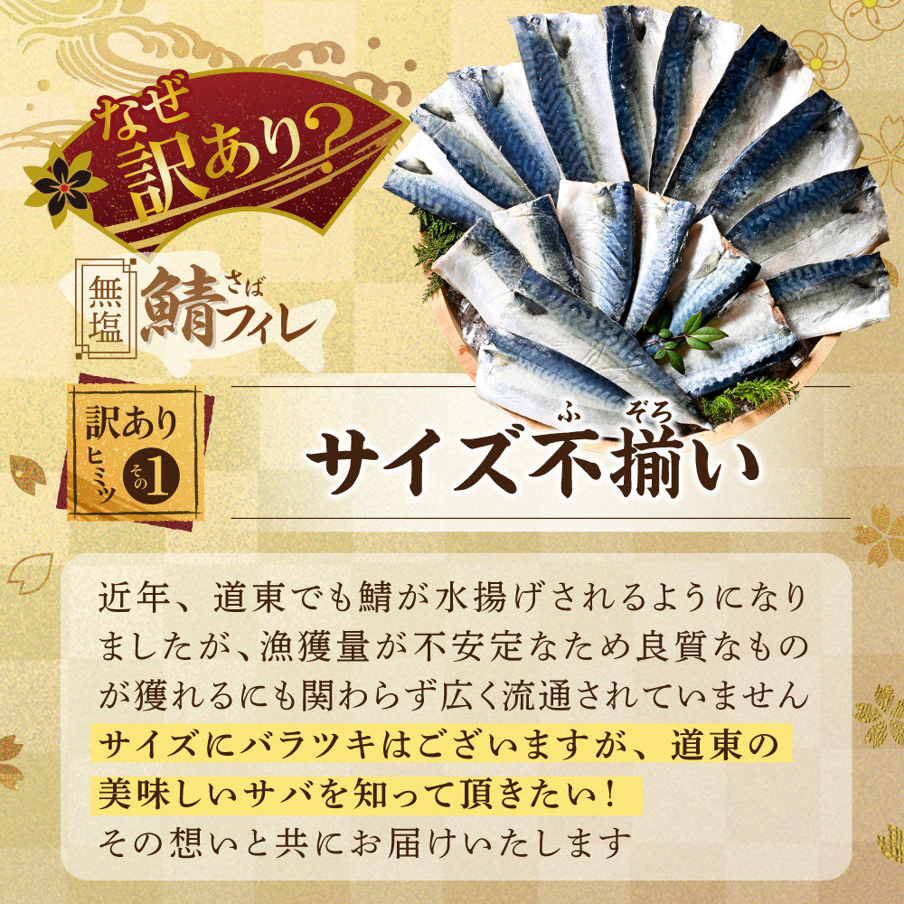 【先行予約】今秋以降発送予定【訳あり】無塩 サバ フィレ 2kg