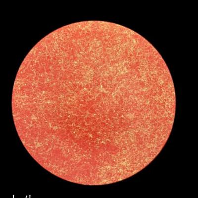 ふるさと納税 高野町 フラットプレート(D)　乱糸(マット仕上げ)本朱