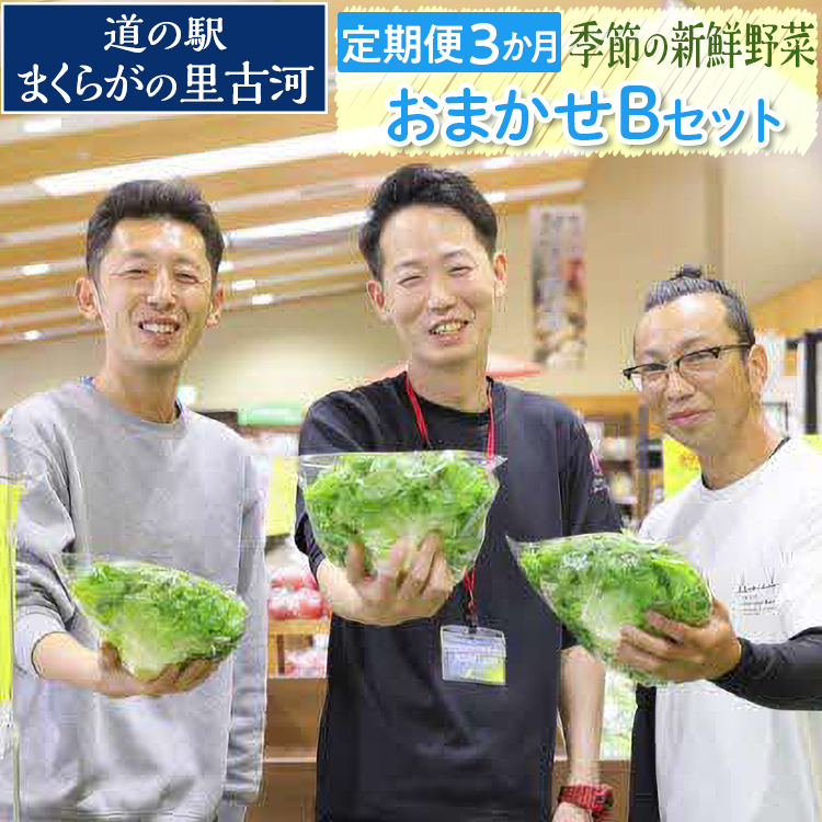 【定期便３か月】道の駅まくらがの里古河　季節の新鮮野菜おまかせBセット ※北海道・沖縄・離島への配送不可 | 野菜 詰合せ 定期便 詰め合わせ セット アソート 新鮮 道の駅 人気 ギフト 贈答 贈り物 プレゼント お中元 お歳暮 茨城県 古河市 直送 農家直送 産地直送 _BQ06