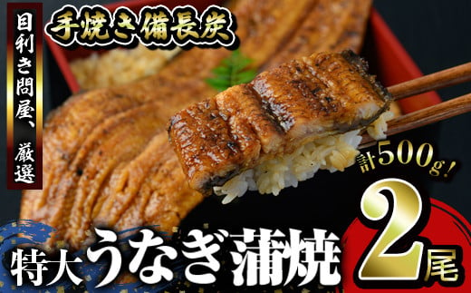 2739 うなぎ問屋の備長炭手焼　うなぎ蒲焼　特大2尾（500ｇ）【うなぎ 国産 九州 鹿屋市 本格 鰻 ウナギ 蒲焼 冷凍 湯煎 レンジ 解凍 簡単調理 鰻丼 鰻重 ひつまぶし 魚 土用の丑】