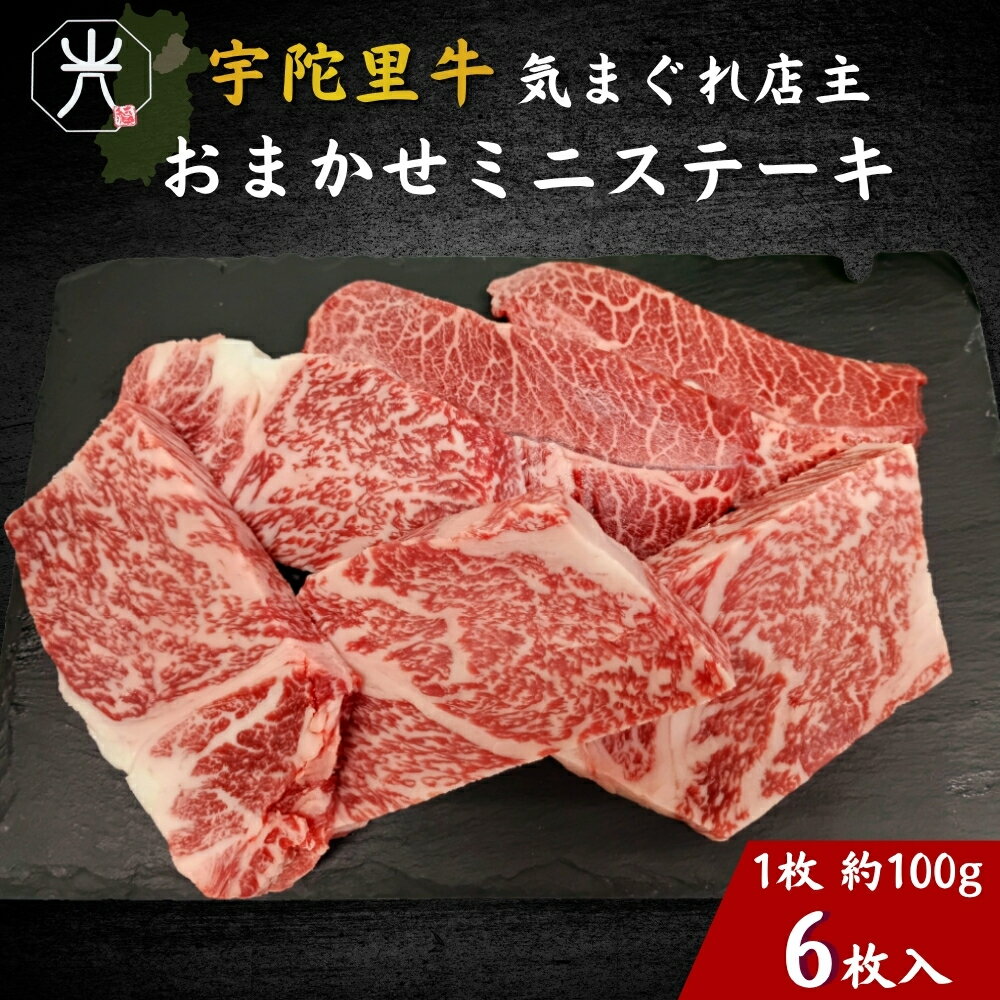 【ふるさと納税】宇陀里牛 店主 おまかせ ミニステーキ 6枚セット（1枚 約100g）／ 牛肉 部位おまかせ 黒毛和牛 国産牛 ステーキ キャンプ バーベキュー BBQ 贈答 6枚 ギフト 高級牛肉 奈良県 宇陀市 光福久屋