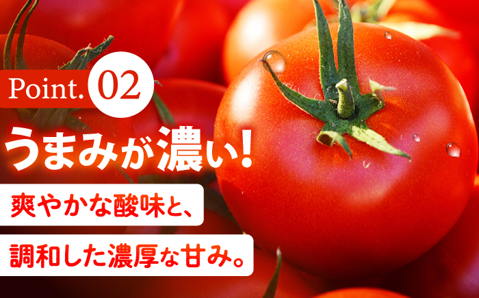 佐賀県産 トマト 4kg 【JAさが】 [NCR004]