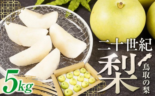 梨 二十世紀梨 鳥取産 5kg× 1箱｜梨 なし 二十世紀梨 二十世紀 5kg 果物 フルーツ ナシ 甘い 果汁 和梨 箱 甘み くだもの 国産 二十世紀 にじゅっせいき なし 果実 鳥取県 三朝町