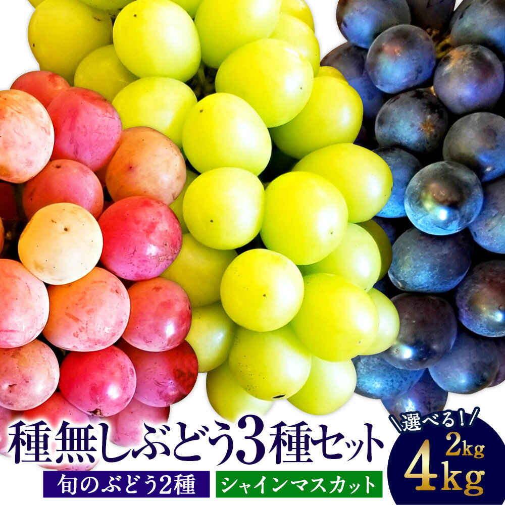 【ふるさと納税】【配送地域限定】大粒！たっぷり日光を浴びたみずみずしい種無しぶどう3種セット （シャインマスカット＋旬なぶどう） 2kg～4kg 山形県産 【2025年9月下旬～10月上旬発送予定】