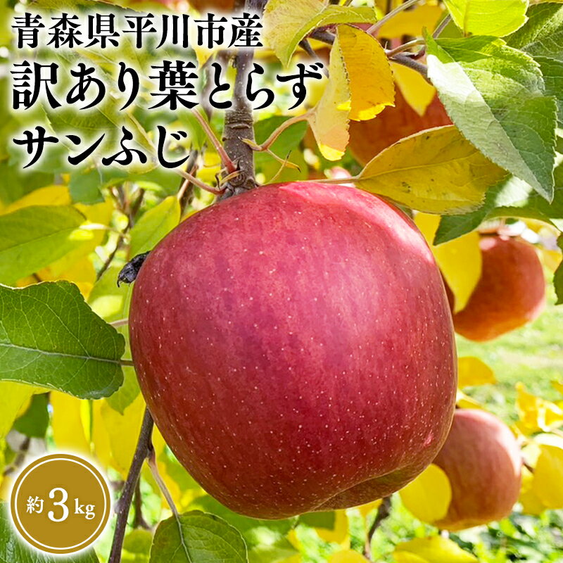 【ふるさと納税】≪12月中旬頃より発送≫青森県産 訳あり 葉取らずサンふじ 約3kg【青森県 平川市 なるみ農園】家庭用 訳アリ 青森 青森県産 平川 りんご リンゴ 林檎 くだもの 果物 フルーツ レビューキャンペーン