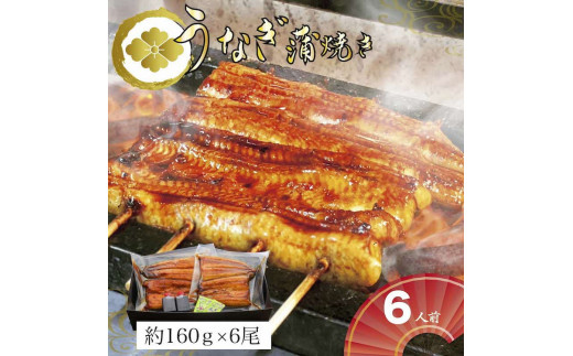 【熨斗あり】うなぎ蒲焼6人前（1人前約160g×6）贈答用パッケージ｜お取り寄せ グルメ 国産 鰻 お歳暮 御歳暮_AT12