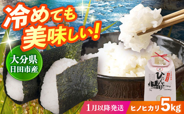 【先行予約・26年1月以降発送】令和7年産大分県産ヒノヒカリ 5kg　日田市 / JAおおいた日田グリーンセンター こめ コメ 米 [ARDX007]
