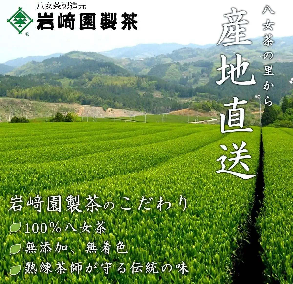 八女茶100％ 水出し用煎茶ティーバッグ たっぷり90個！(5g×18ヶ×5袋)＜岩崎園製茶＞ 075-026