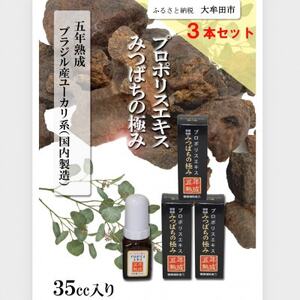 プロポリスエキスみつばちの極み　35cc×3本セット　5年熟成【1445877】