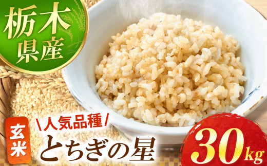 【先行予約】 とちぎの星 玄米 30kg  | 2025年 10月 11月 12月 秋 先行予約 お米 新米 米 白米 玄米 おにぎり 日本 主食 米 おいしい おこめ 10kg 30kg 栃木県 真岡市 送料無料