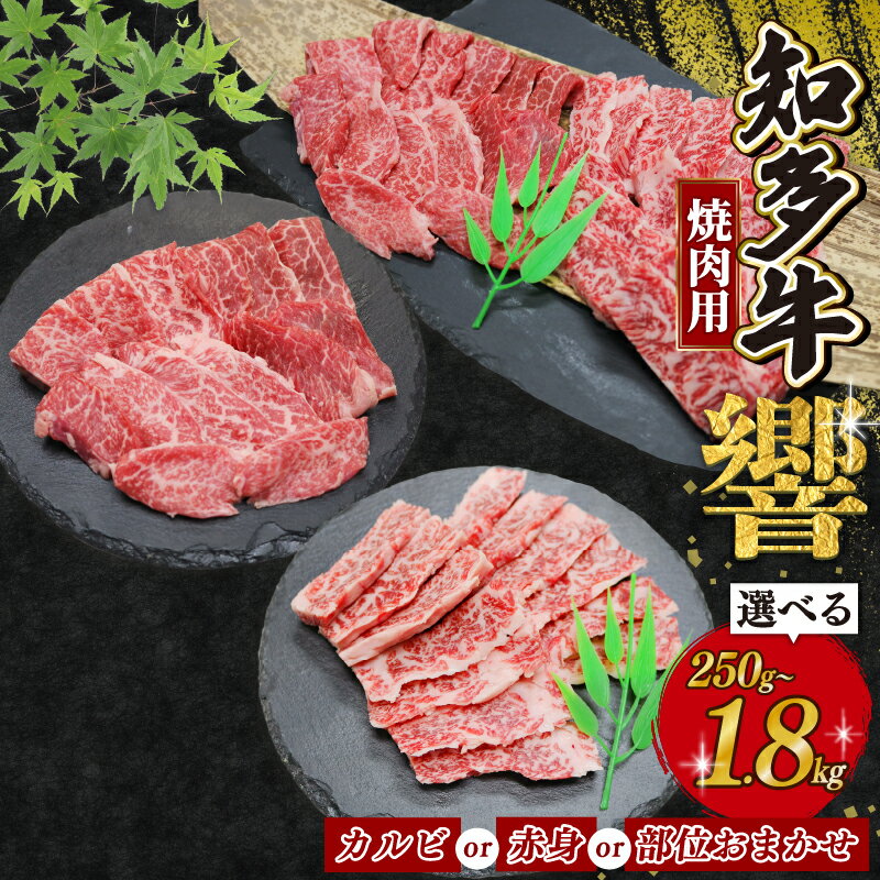 【ふるさと納税】 種類と容量選べる 焼肉用 知多牛 カルビ 赤身 焼肉セット 250g〜1.8kg 部位おまかせ 知多牛響 訳あり 焼肉用カルビ 小分け ( ふるさと納税 肉 カルビ ふるさと納税 牛 カルビ ふるさと納税 牛肉 ふるさと納税 ふるさと納税 焼肉 カルビ ) 愛知県 南知多町