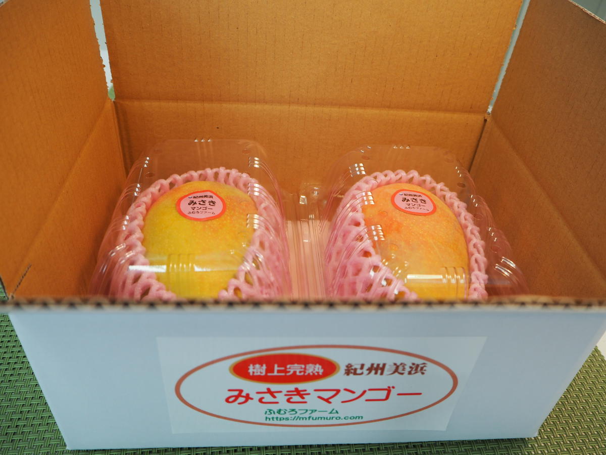紀州美浜みさきマンゴー2～3玉（1.2～1.3kg）
※離島への配