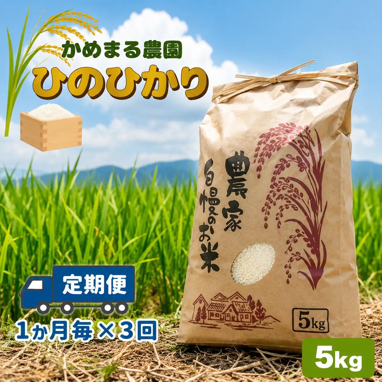 【定期便3回】 米 ひのひかり 5kg×3回 | かめまる農園