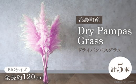 【2週間以内発送】ドライパンパスグラス（ピンク）計5本 すすき インテリア 国産_T057-004