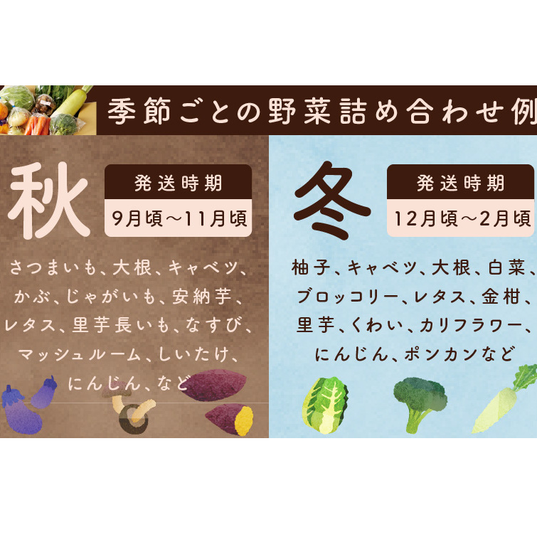 泉州野菜 定期便 全4回 15種類以上 詰め合わせ 国産 新鮮 冷蔵【毎月配送コース】 099Z190_イメージ5