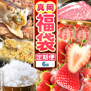 【定期便6回】真岡のグルメ 定期便 いちご ピラフ お米 初恋糖 餃子 お肉