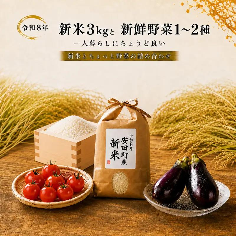 新米 3kg 野菜セット 令和8年度産 TR-01