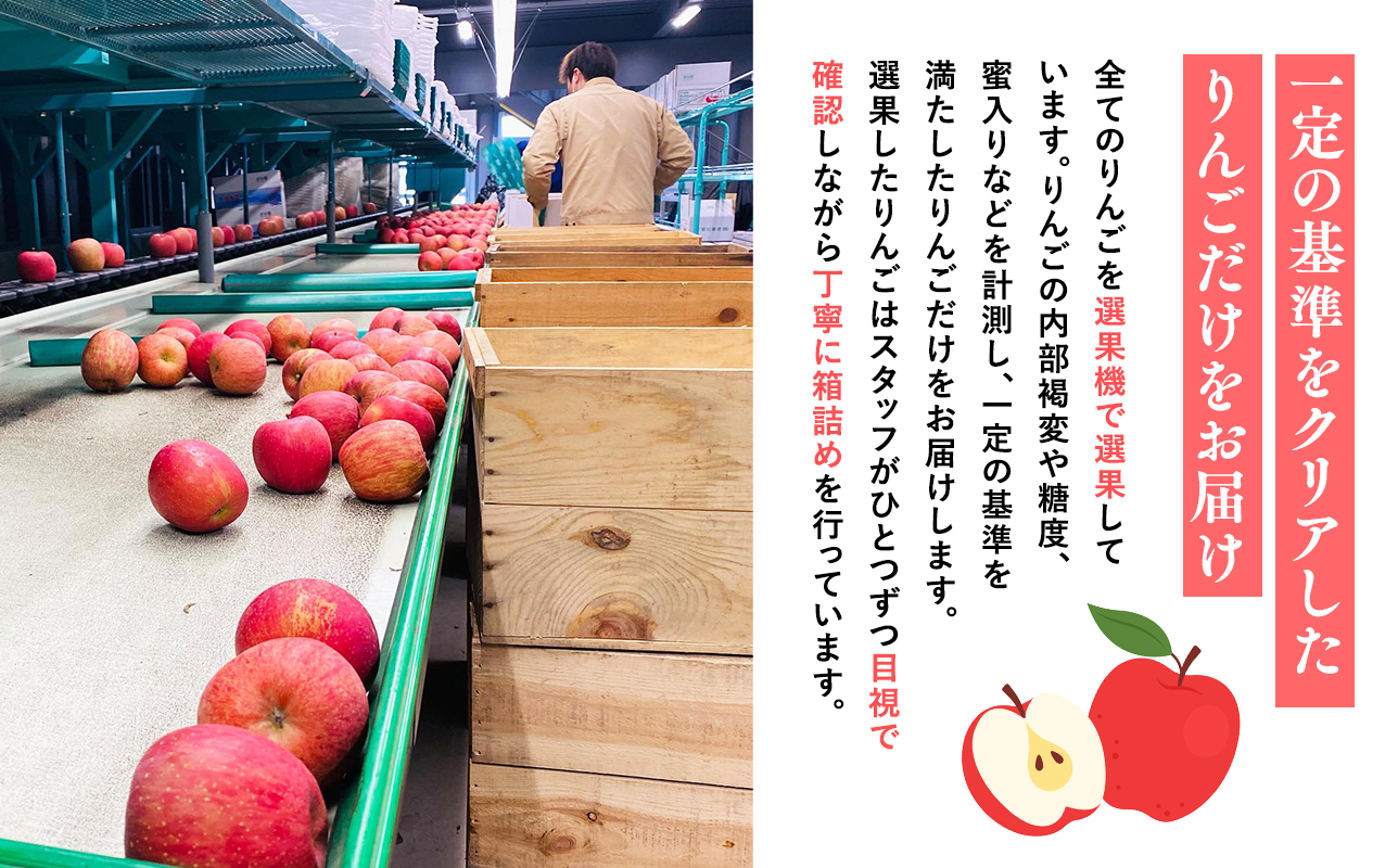 11月発送 【特選】サンふじ10ｋｇ【りんご・青森・平川・特選・宮川商店・11月・12月・1月・2月・3月・4月】