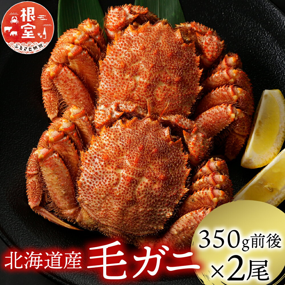 【ふるさと納税】 浜ゆで 毛がに 350g 前後 × 2 尾 毛ガニ 毛蟹 けがに ケガニ かに カニ 蟹 お取り寄せ グルメ 海鮮 ボイル 茹で蟹 茹でがに 茹でガニ 浜茹で 北海道 根室市 ふるさと納税 A-21001（クラウドファンディング対象）