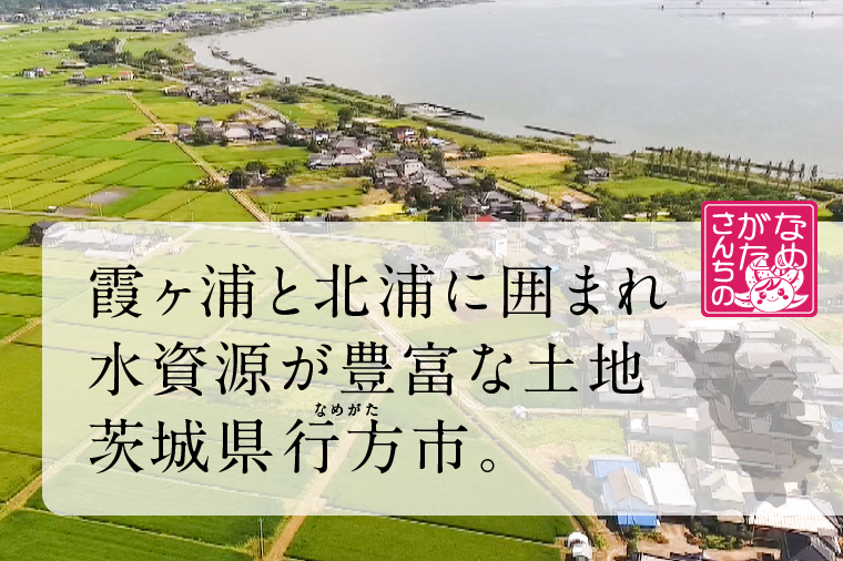 茨城県産コシヒカリ使用 パックごはん(玄米) 160g×18食｜コシヒカリ こしひかり 玄米 パックご飯 パックごはん 備蓄 防災備蓄 簡単 茨城県産 茨城県 行方市 人気 送料無料(HE-6)