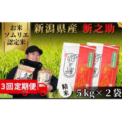 ふるさと納税 五泉市 【毎月定期便】新潟県五泉市産　新之助　10kg(5kg×2袋)　精米全3回