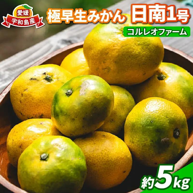 愛媛 極早生 みかん 日南1号 5kg コルレオファーム 愛媛みかん B010-145011