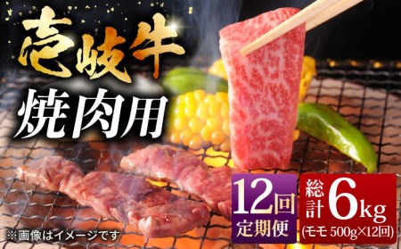 【全12回定期便】壱岐牛焼き肉セット 500g [JCG056] 冷凍配送 黒毛和牛 A5ランク 黒毛和牛 和牛 壱岐牛 モモ 焼き肉 焼肉 モモ 赤身 焼肉用 228000 228000円