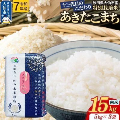 ふるさと納税 大仙市 米 あきたこまち【白米】15kg特別栽培米 令和7年産|22_skb-011501