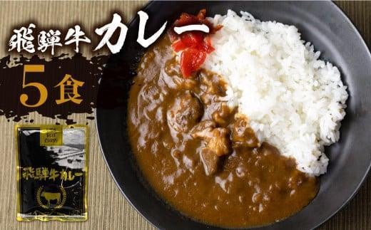 【8月発送】飛騨牛カレー (5袋) ビーフカレー 飛騨牛 カレー レトルトカレー  簡易包装 ふるさと清見  DC005VC08