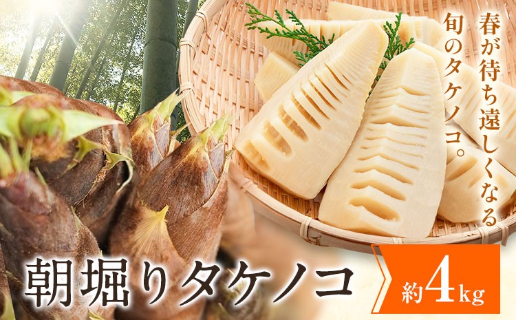 
            朝掘りタケノコ 4kg 合同会社 原田山業《4月上旬-4月末頃出荷》 熊本県 菊池市 たけのこ タケノコ 朝掘り 一番掘り 春の味覚 旬 国産
          