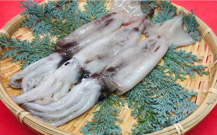 焼売 壱岐産 いかしゅうまい 3種セット 3箱 計22個 【 うに ・あおさ・ いか 】《壱岐市》【大幸物産株式会社】ウニ イカ シュウマイ [JEH018] 18000 18000円