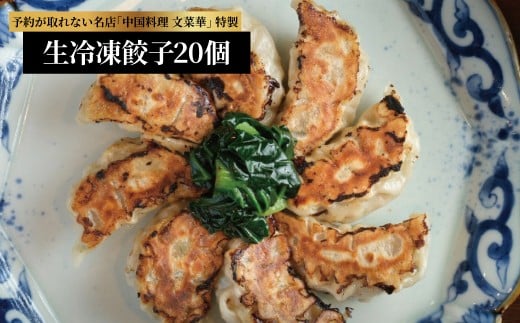 文菜華 ノンメタポーク100％使用の生冷凍餃子20個 〈 冷凍 餃子 冷凍食品 冷凍餃子 豚肉 ごはん 白米 中華 美味しい 人気 文菜華 〉